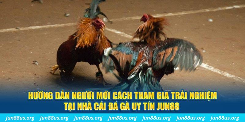 39 bet loi game dot kich ket noi may chu that bai