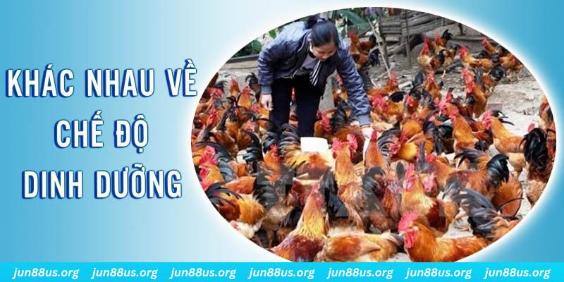 39 bet xổ số miền nam thứ năm hàng tuần