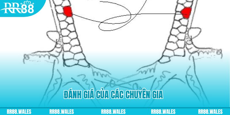 39 bet V8 Game Bài 3d