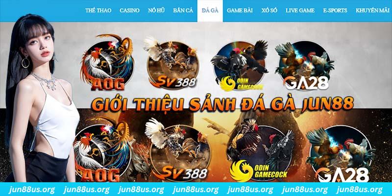 39 bet đá gà trực tiếp bình luận viên