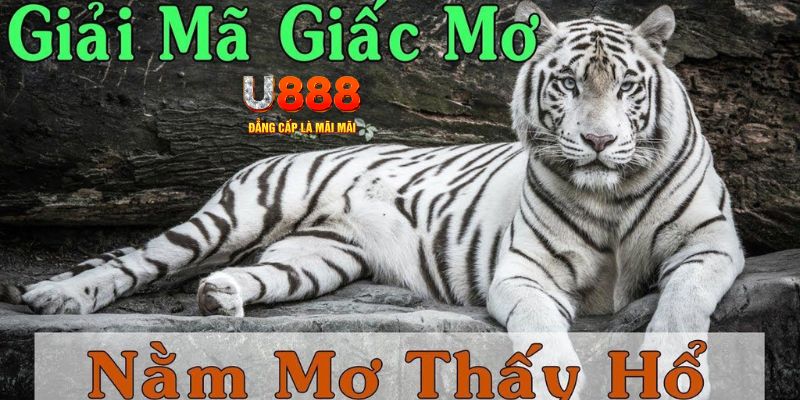 39 bet qq88 nổ hũ bắn cá