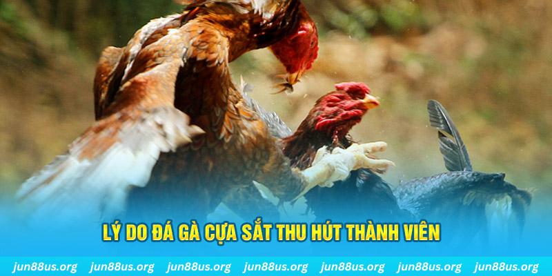 39 bet chiếm slot là gì