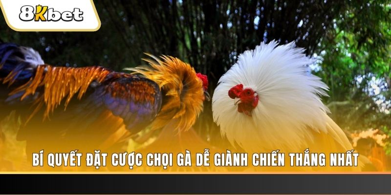 39 bet xổ số thứ hai hàng tuần