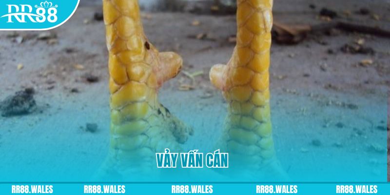 39 bet đăng nhập nổ hũ hôm nay