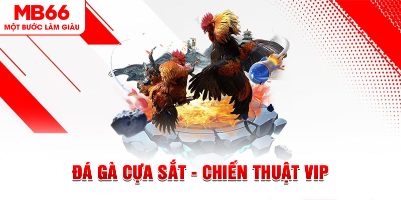 39 bet xổ số trực tiếp hôm nay