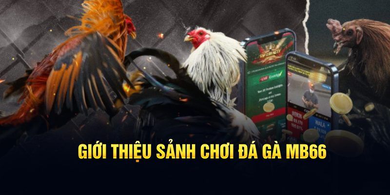 39 bet đăng nhập poker hôm nay