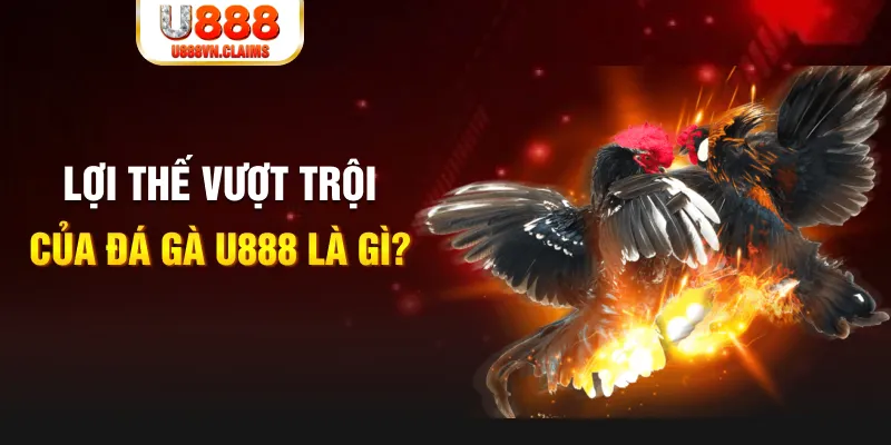 39 bet 168G Điện Tử